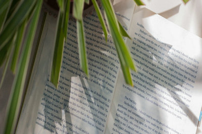 重点！辽宁石油化工大学在职研究生报考方式有哪些？